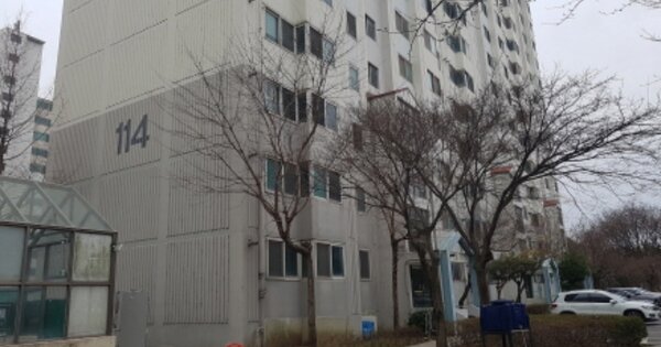 경기 안성시 금광면 신양복리 139-1, 114동 OOOOOOOO OOOOOOO 아파트 경매 물건 이미지