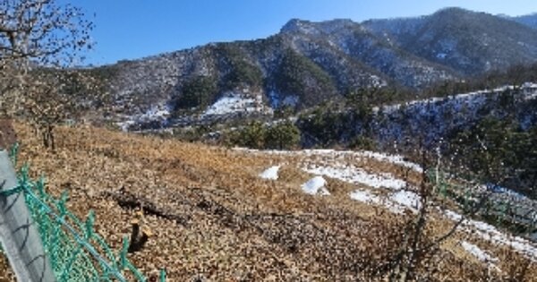 강원특별자치도 삼척시 도계읍 늑구리 OOO 전 경매 물건 이미지