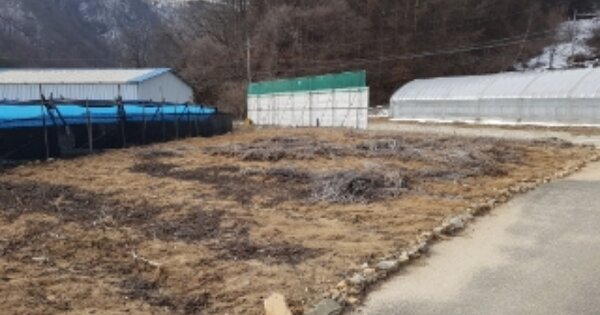 강원특별자치도 홍천군 화촌면 장평리 OOOOOO O OOO 창고시설 경매 물건 이미지