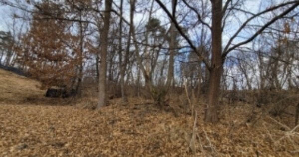 충청북도 청주시 흥덕구 강내면 산단리 OOOOOO 임야 경매 물건 이미지