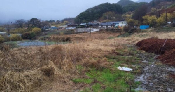 전라남도 구례군 산동면 좌사리 OOOOO 답 경매 물건 이미지