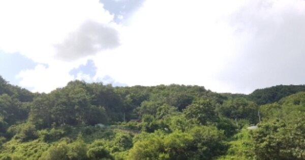 강원특별자치도 홍천군 남면 화전리 OOOO 임야 경매 물건 이미지