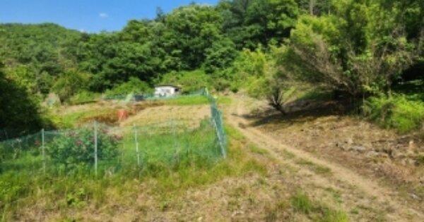 충청북도 괴산군 소수면 길선리 OOO O OOO 전 경매 물건 이미지