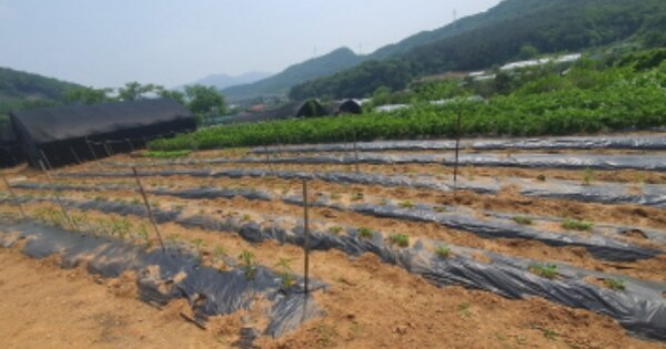 경기도 광주시 남한산성면 하번천리 OOO 전 경매 물건 이미지