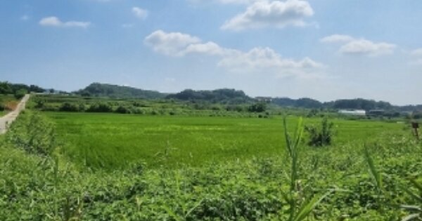 충청북도 청주시 서원구 현도면 죽전리 OOOOO 답 경매 물건 이미지