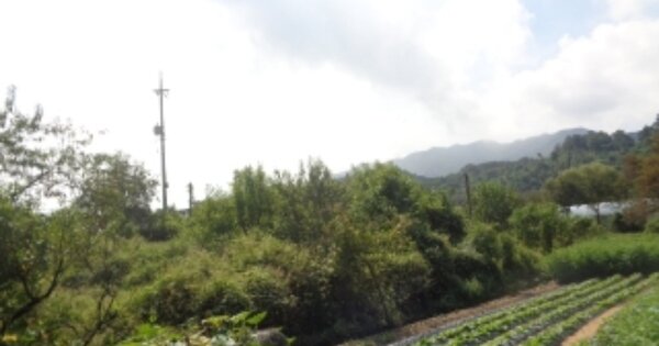 충청북도 괴산군 감물면 오창리 OOOO 전 경매 물건 이미지