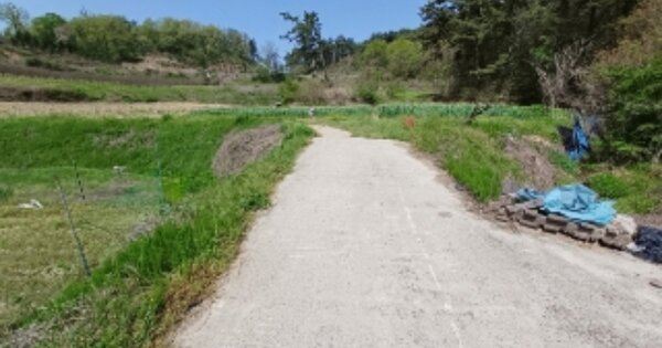 전라남도 영광군 법성면 월산리 OOOOO O OOO 임야 경매 물건 이미지