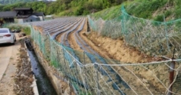 경상북도 안동시 남선면 신석리 OOOOO 전 경매 물건 이미지