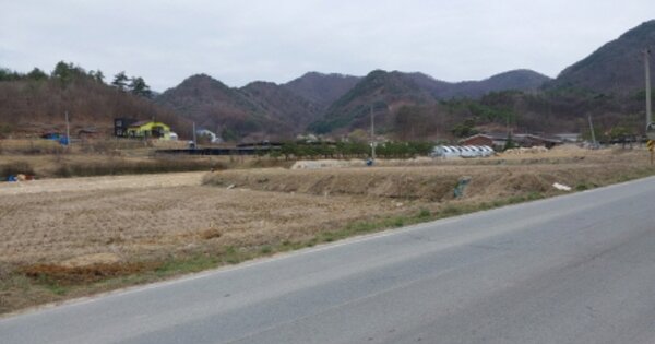 충청남도 금산군 금산읍 양지리 OOO 답 경매 물건 이미지