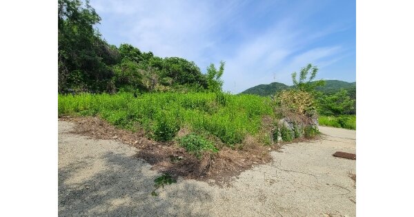 충청남도 아산시 음봉면 동천리 OOOOOO O OOOO 임야 경매 물건 이미지
