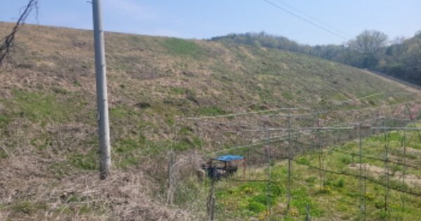 경상북도 영천시 청통면 보성리 OOOOO 답 경매 물건 이미지