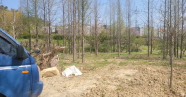 경상북도 영천시 청통면 치일리 96-1 외 5필지 창고시설 경매 물건 이미지