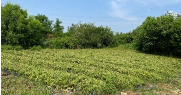 충청남도 아산시 염치읍 곡교리 OOO 답 경매 물건 이미지