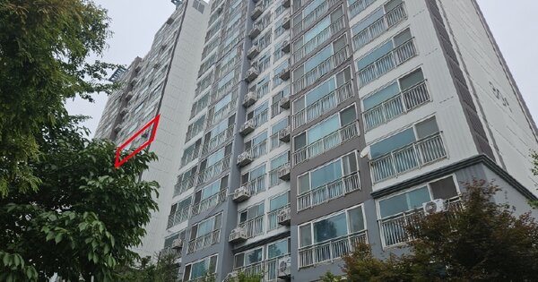 충남 아산시 권곡동 610, 301동 7층702호 (권곡동,삼부르네상스) 아파트 경매 물건 이미지