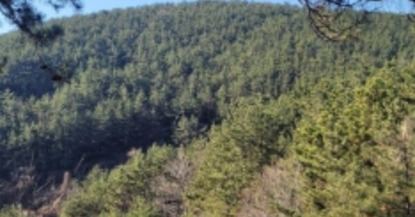 경상남도 거제시 둔덕면 술역리 OOOOO 답 경매 물건 이미지