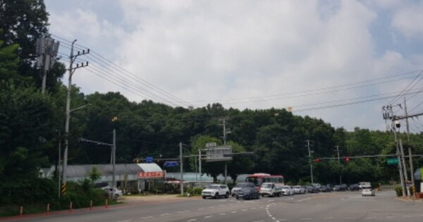경기도 남양주시 금곡동 OOOOOO O OOO 임야 경매 물건 이미지