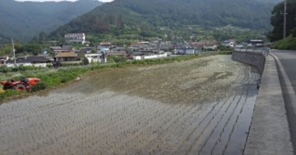 경상남도 밀양시 삼랑진읍 숭진리 OOOOO 답 경매 물건 이미지