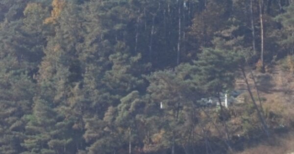 경상남도 창녕군 계성면 명리 OOOO 임야 경매 물건 이미지