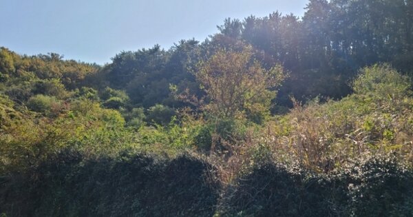 경상남도 통영시 한산면 추봉리 OOOO 전 경매 물건 이미지