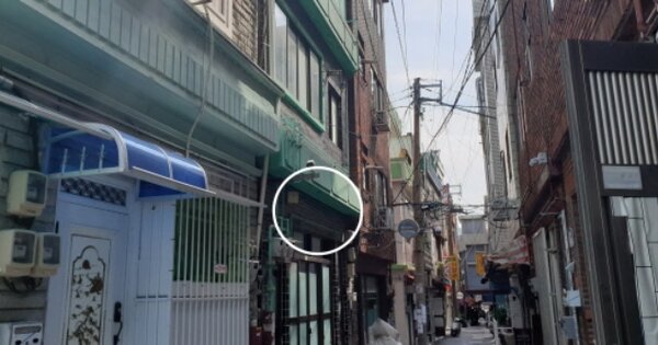 부산광역시 사하구 장림동 OOOOOOO 단독주택 경매 물건 이미지