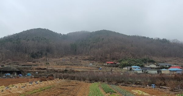 경상남도 창원시 마산합포구 구산면 옥계리 OOOOOO O OOO 임야 경매 물건 이미지