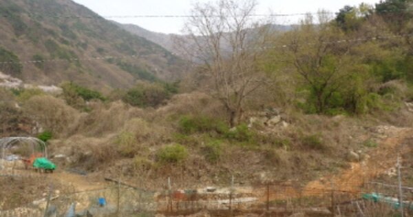 경상남도 사천시 백천동 OOO 전 경매 물건 이미지