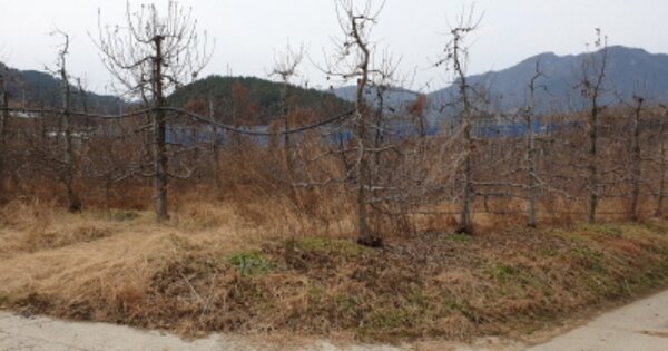 경상남도 거창군 고제면 봉산리 OOOO 전 경매 물건 이미지
