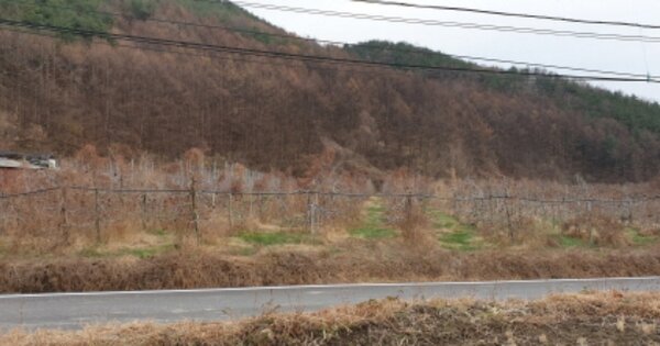 경상남도 거창군 고제면 궁항리 OOOOO O OOO 답 경매 물건 이미지