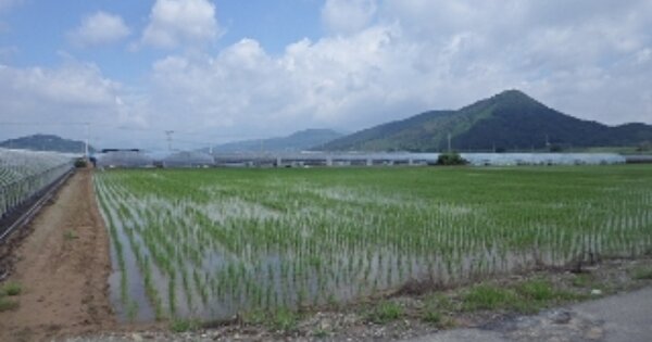 경상남도 밀양시 상남면 외산리 OOOO 답 경매 물건 이미지
