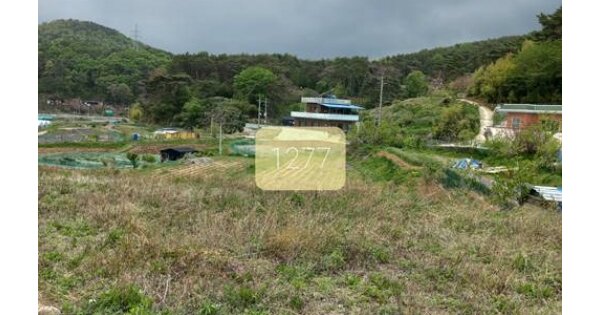 부산광역시 기장군 장안읍 덕선리 OOO 답 경매 물건 이미지