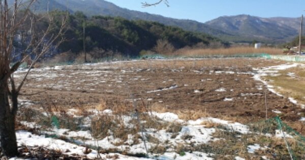 경상남도 함양군 서상면 옥산리 OOO 전 경매 물건 이미지
