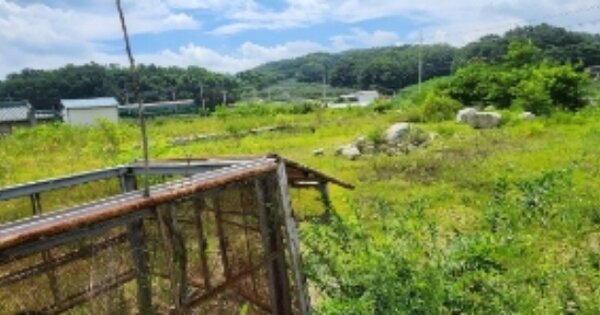 경상북도 안동시 와룡면 가구리 OOOOOO O OOO 임야 경매 물건 이미지