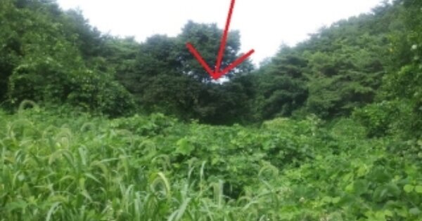 강원특별자치도 영월군 남면 토교리 OOOOO 전 경매 물건 이미지