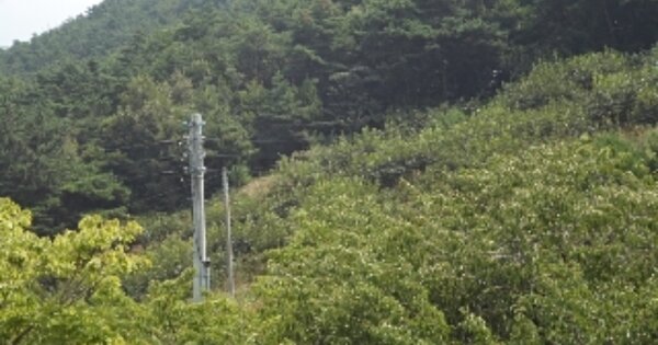 경상남도 창녕군 창녕읍 말흘리 OOOO 과수원 경매 물건 이미지