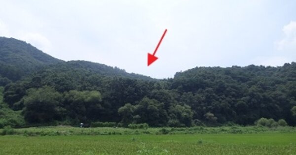 강원특별자치도 원주시 문막읍 동화리 OOOOOOOO 임야 경매 물건 이미지