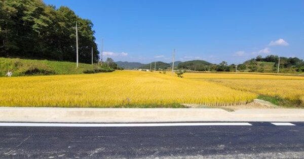 경상북도 예천군 호명면 한어리 OOOOO 답 경매 물건 이미지