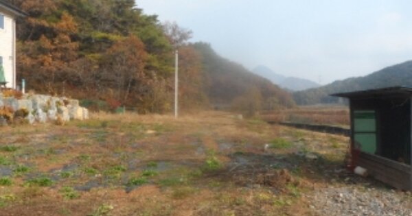강원특별자치도 영월군 한반도면 신천리 OOO 전 경매 물건 이미지