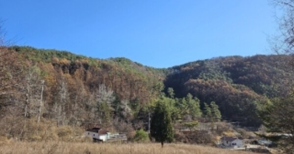 강원특별자치도 영월군 산솔면 화원리 OOO 임야 경매 물건 이미지