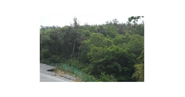 전라남도 보성군 벌교읍 징광리 OOOO 임야 경매 물건 이미지
