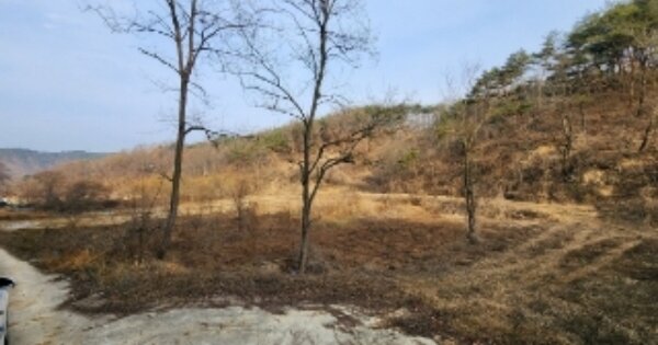 경상북도 안동시 임하면 임하리 OOO 답 경매 물건 이미지