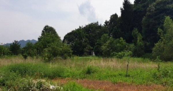 충청북도 충주시 노은면 수룡리 OOOOO 전 경매 물건 이미지