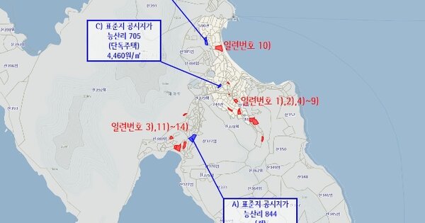 전라남도 신안군 하의면 능산리 OOO 답 경매 물건 이미지