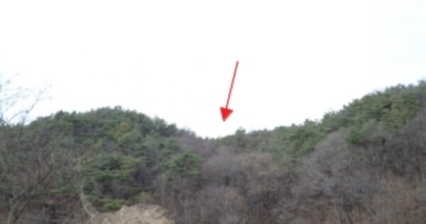 강원특별자치도 원주시 부론면 흥호리 OOO 임야 경매 물건 이미지