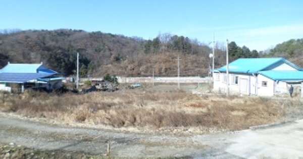 강원특별자치도 원주시 소초면 교항리 OO 답 경매 물건 이미지