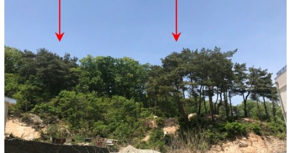 경기도 의정부시 호원동 OOOOO O OOO 대지 경매 물건 이미지