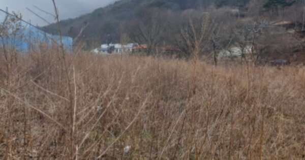 경상북도 경주시 산내면 대현리 OOOO 답 경매 물건 이미지