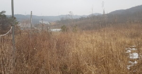 충청남도 보령시 청라면 장산리 OOOOO 임야 경매 물건 이미지