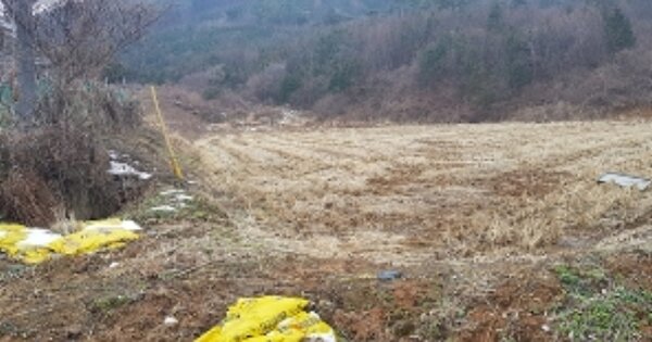 충청남도 보령시 청라면 장산리 OOO O OOO 전 경매 물건 이미지