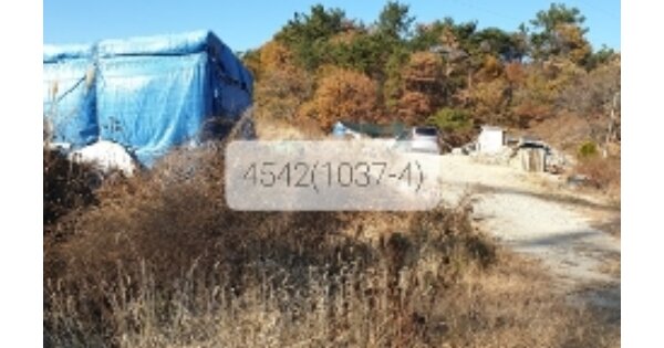부산광역시 기장군 장안읍 오리 OOOOOO 답 경매 물건 이미지