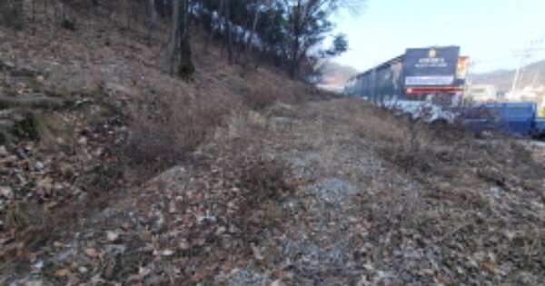 경상북도 고령군 다산면 송곡리 OOOOO O OOO 임야 경매 물건 이미지